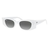Ray-Ban Sonnenbrillen RB4427 675911 49-20