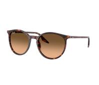 Ray-Ban Sonnenbrillen RB2204 14293B 51-20