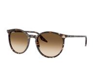 Ray-Ban Sonnenbrillen RB2204 143151 51-20