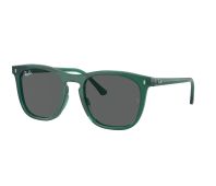 Ray-Ban Sonnenbrillen RB2210 6615B1 53-21