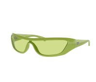 Ray-Ban Sonnenbrillen RB4431 6763/2 -