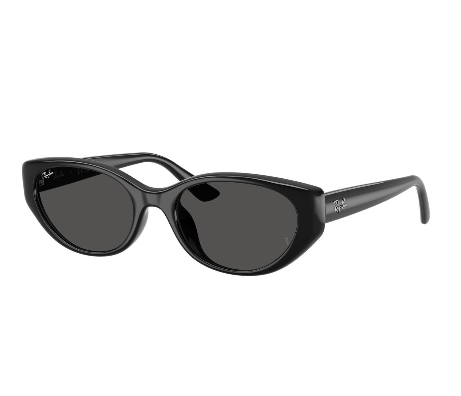 Ray-Ban Sonnenbrillen RB4457D 667787 55 19 schwarz
