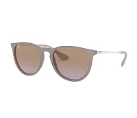 Ray-Ban Sonnenbrillen RB4171 600068 54-18