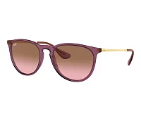 Ray-Ban Sonnenbrillen RB4171 659114 54-18