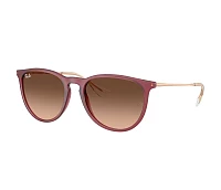 Ray-Ban Sonnenbrillen RB4171 6815A5 54-18