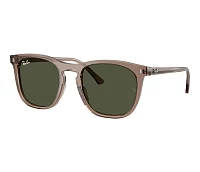 Ray-Ban Sonnenbrillen RB2210 845731 53-21