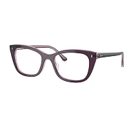 Ray-Ban Brillen RX5433 8364 50-19