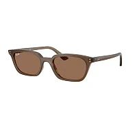 Ray-Ban Sonnenbrillen RB4456 677973 53-19