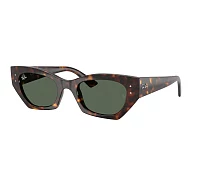 Ray-Ban Sonnenbrillen RB4430 135971 52-22