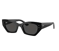 Ray-Ban Sonnenbrillen RB4430 667787 49-22
