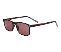 Solar Sonnenbrillen JSLR03 51-MARRON 52-16
