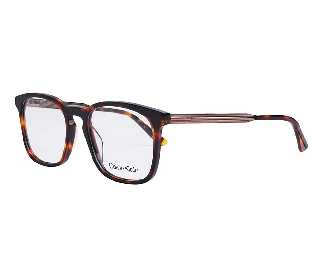 Calvin Klein Brille CK-22503 609 53 19 havanawalnuss gold