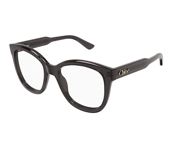 Chloe Brille CH0378O 001 54 19 grau