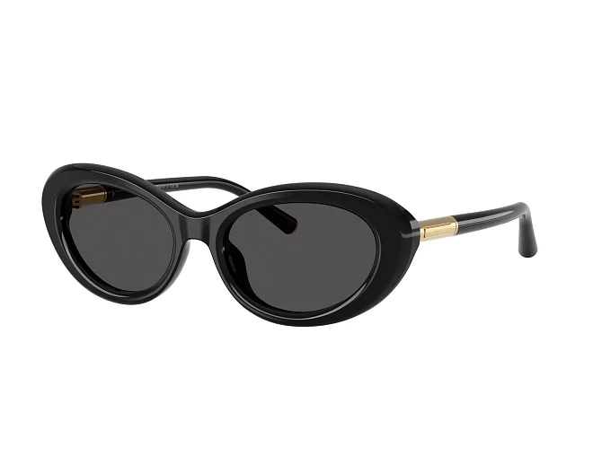 Dolce & Gabbana Sonnenbrillen DG4519 501/87 54 18 schwarz