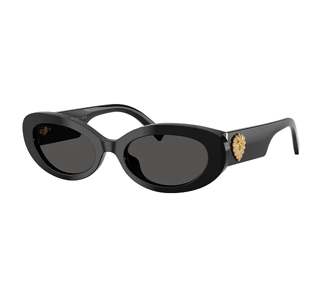 Dolce & Gabbana Sonnenbrillen DG4537 501/87 53 19 schwarz