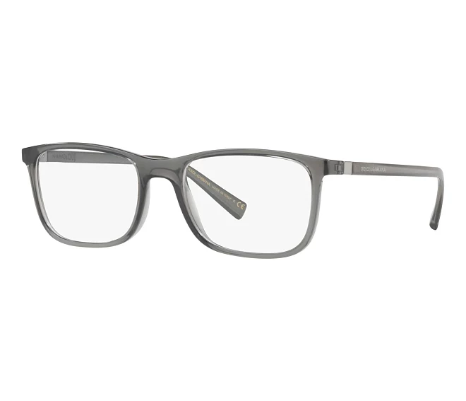 Dolce & Gabbana Brille DG-5027 3160 55 18 grau