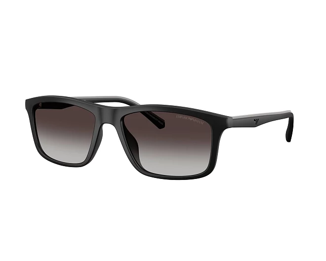 Emporio Armani Sonnenbrillen EA4257U 50018G 57 17 schwarz