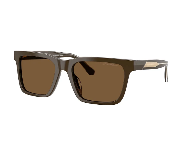 Emporio Armani Sonnenbrillen EA4262U 630773 57 19 braun