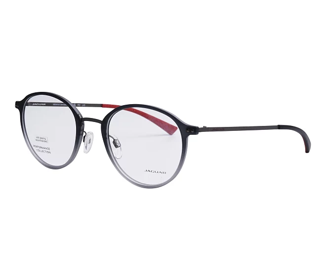 Jaguar Brille 36830 6500 50 21 grau