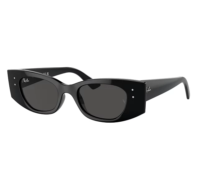 Ray-Ban Sonnenbrillen RB4427 667787 49 20 schwarz