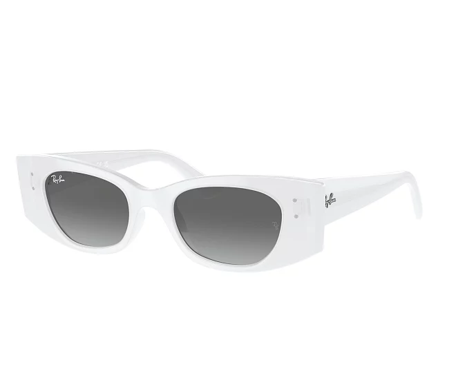 Ray-Ban Sonnenbrillen RB4427 675911 49 20 weiß