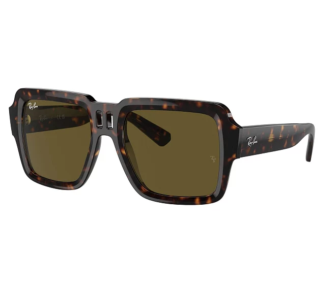 Ray-Ban Sonnenbrillen RB4408 135973 54 19 havana