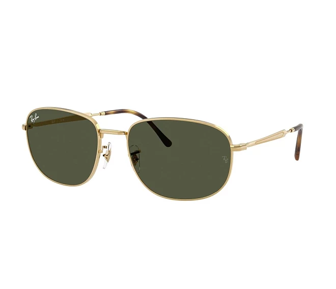 Ray-Ban Sonnenbrillen RB3754 001/31 60 19 gold