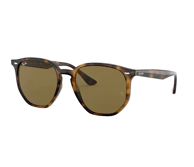 Ray-Ban Sonnenbrillen RB4306 710/73 54 19 havana