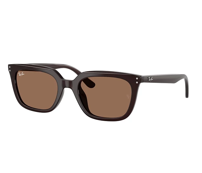 Ray-Ban Sonnenbrillen RB4439D 623173 54 21 braun