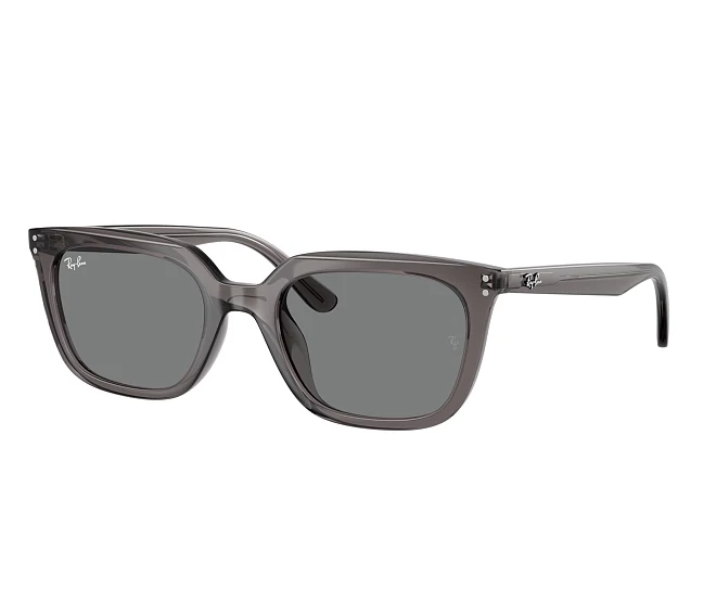 Ray-Ban Sonnenbrillen RB4439D 667587 54 21 grau