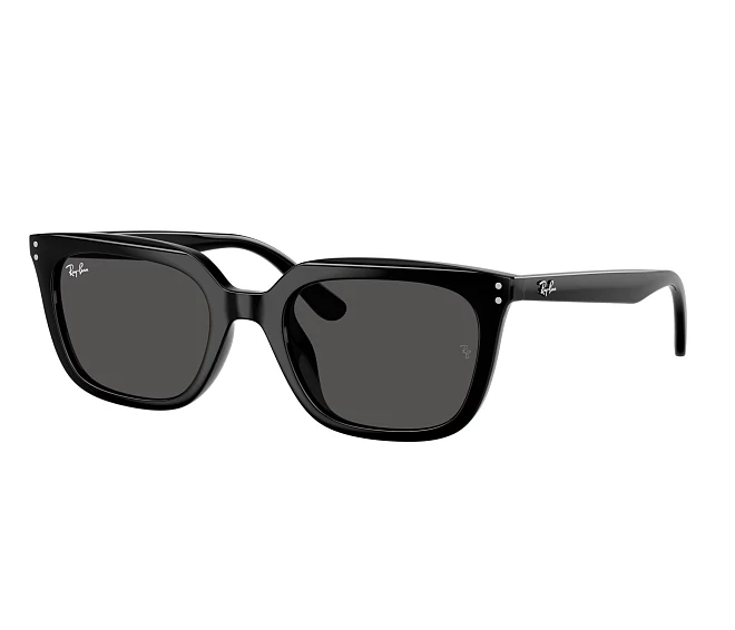 Ray-Ban Sonnenbrillen RB4439D 901/87 54 21 schwarz