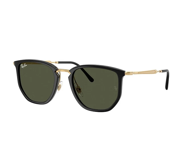 Ray-Ban Sonnenbrillen RB4451 630631 50 20 schwarz