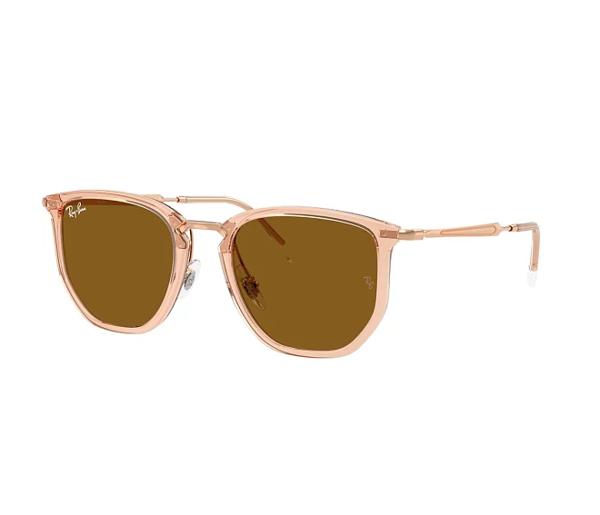 Ray-Ban Sonnenbrillen RB4451 680133 50 20 braun