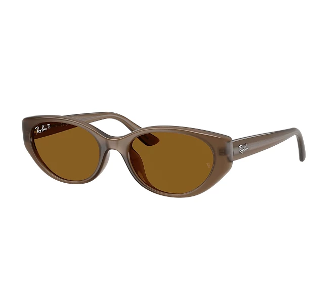 Ray-Ban Sonnenbrillen RB4457D 677983 55 19 braun