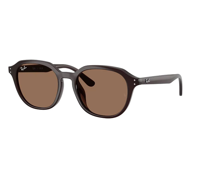 Ray-Ban Sonnenbrillen RB4459D 623173 54 19 braun