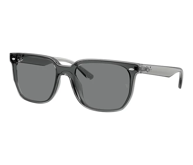 Ray-Ban Sonnenbrillen RB4466D 645087   grau