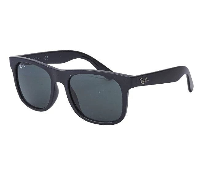 Ray-Ban Sonnenbrillen RJ-9069-S 100/71 48 16 schwarz