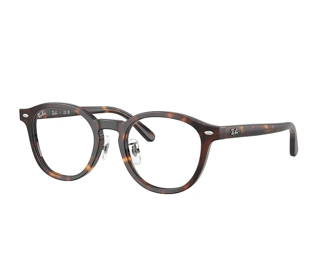 Ray-Ban Brille RX5443D 2012 49 20 havana