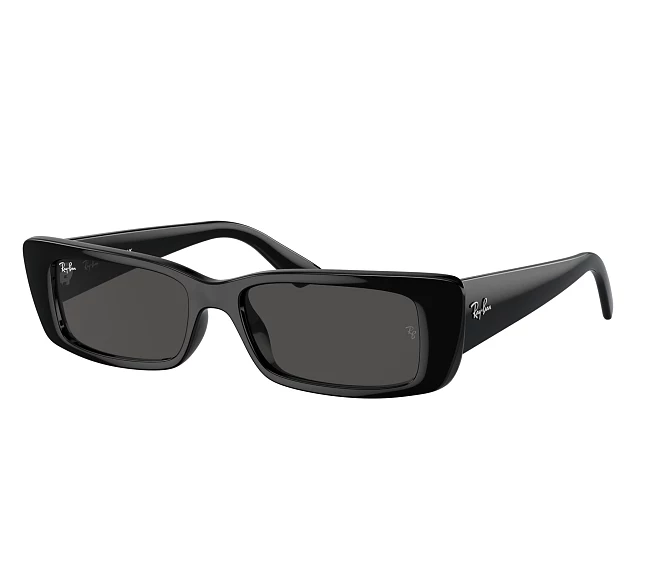Ray-Ban Sonnenbrillen RB4425 667787 54 17 schwarz