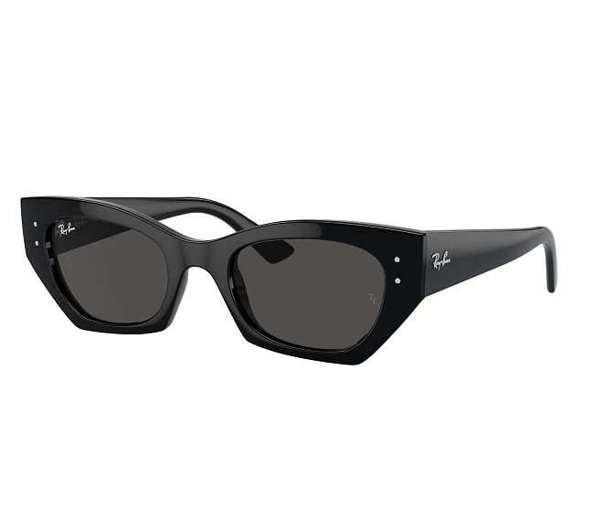 Ray-Ban Sonnenbrillen RB4430 667787 49 22 schwarz
