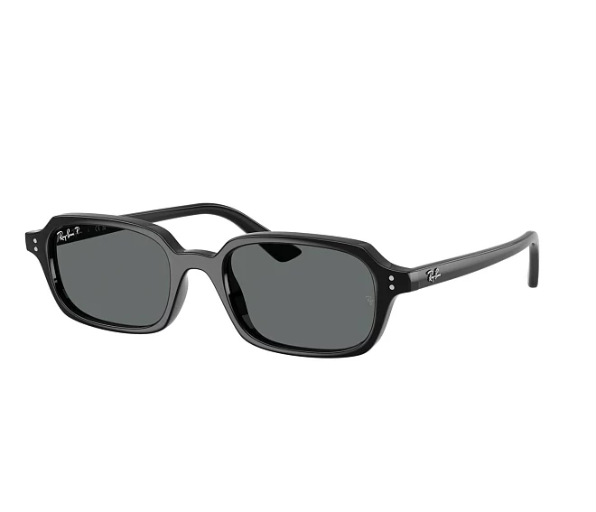 Ray-Ban Sonnenbrillen RB4455 667781 49 19 schwarz