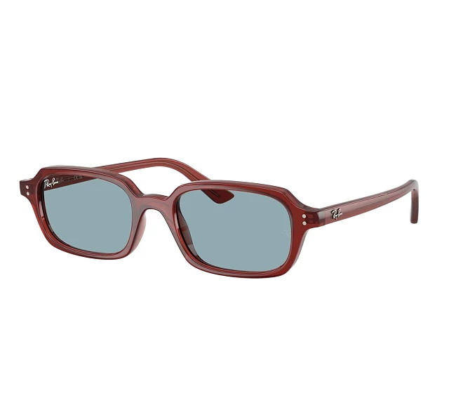 Ray-Ban Sonnenbrillen RB4455 680980 49 19 braun
