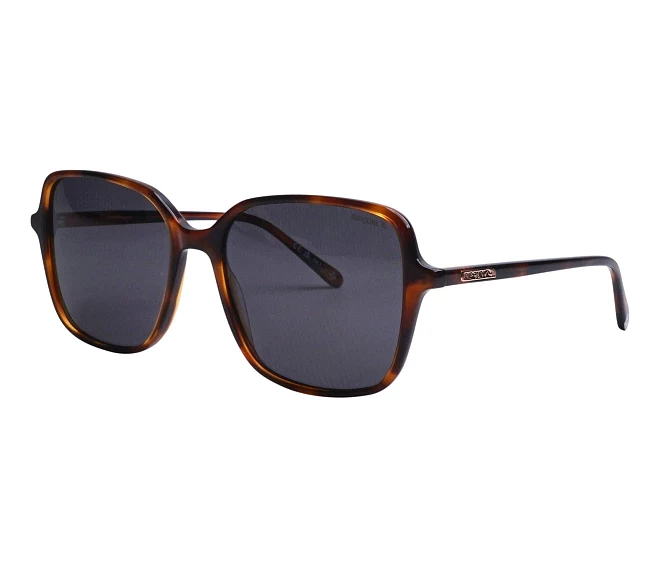 Ripcurl Sonnenbrillen FSA090 03 56 17 braungold