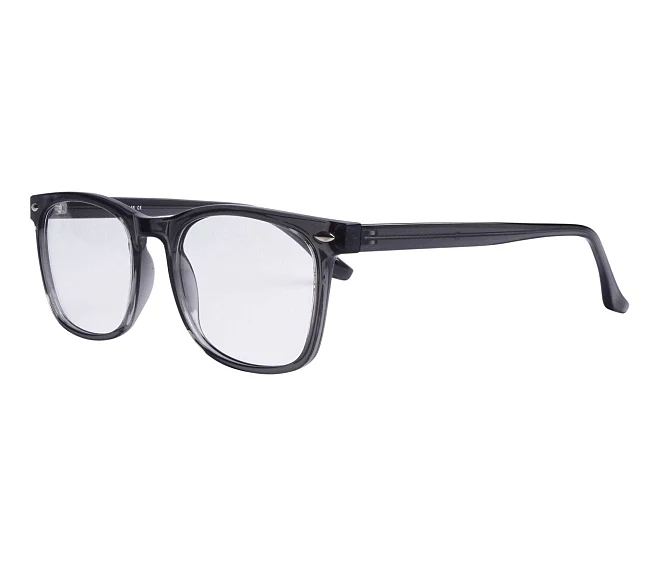 Sun Brille CP112 C 54 19 grau