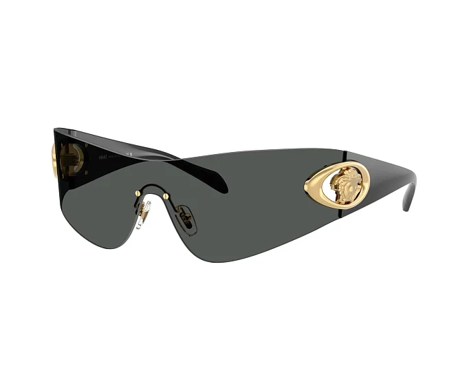 Versace Sonnenbrillen VE2280 100287   grau
