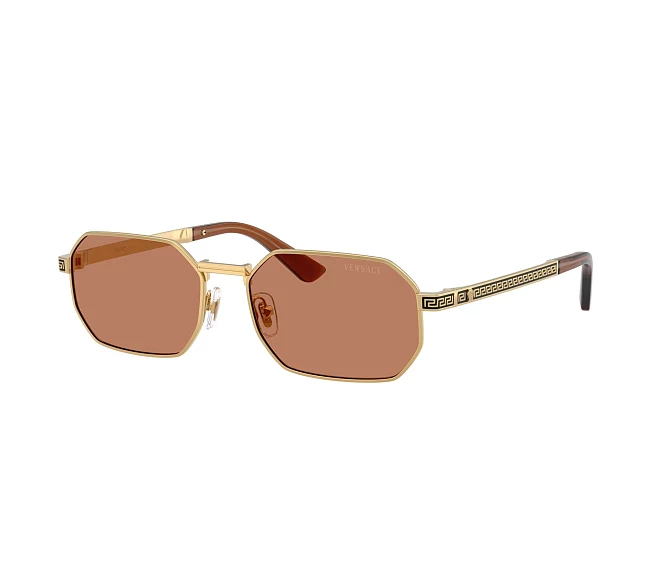 Versace Sonnenbrillen VE2297 100273 54 16 gold