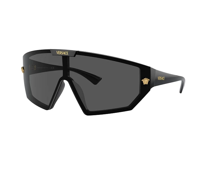 Versace Sonnenbrillen VE4461 GB1/87   schwarz