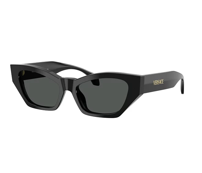 Versace Sonnenbrillen VE4488U GB1/87 53 17 schwarz