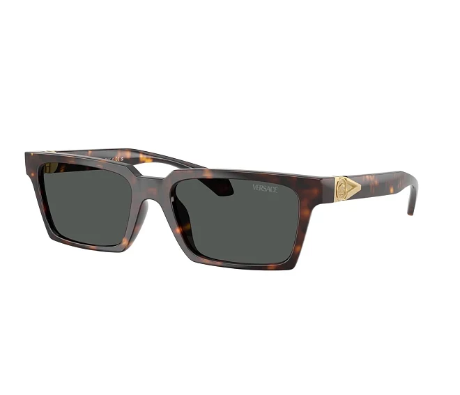 Versace Sonnenbrillen VE4490U 108/87 55 18 havana
