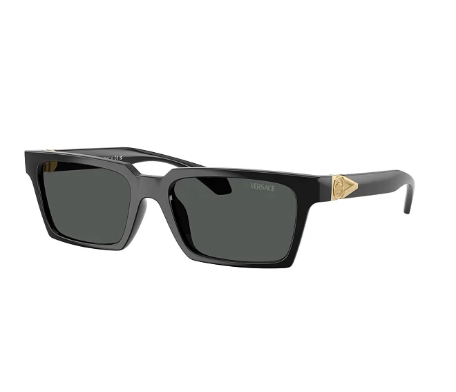 Versace Sonnenbrillen VE4490U GB1/87 55 18 schwarz